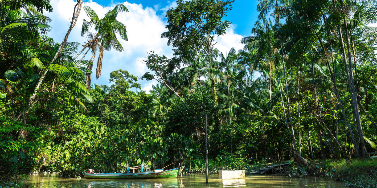 Heavy Rain Turns A Brazilian Rainforest Into Beautiful Underwater Park
